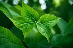 une vert feuille est montré dans le milieu de une forêt. généré par ai photo