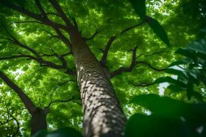 une arbre dans le forêt. généré par ai photo