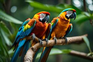 deux coloré perroquets séance sur une branche. généré par ai photo