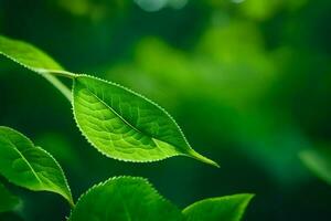 une proche en haut de une feuille sur une arbre. généré par ai photo