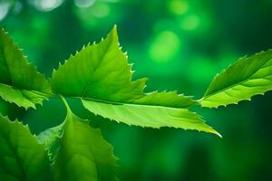 vert feuilles sur une arbre. généré par ai photo