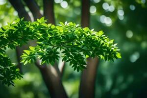 vert feuilles sur une arbre dans le lumière du soleil. généré par ai photo