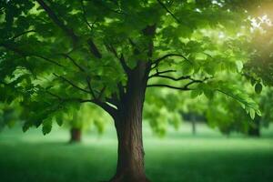 une arbre dans une vert champ avec lumière du soleil brillant par le feuilles. généré par ai photo