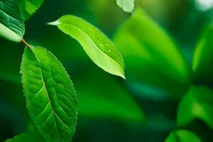 vert feuilles sur une arbre. généré par ai photo