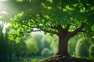 une arbre avec vert feuilles et lumière du soleil brillant par il. généré par ai photo