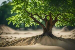 une arbre dans le désert avec le sable et saleté. généré par ai photo