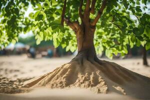 une arbre avec les racines croissance en dehors de le sable. généré par ai photo