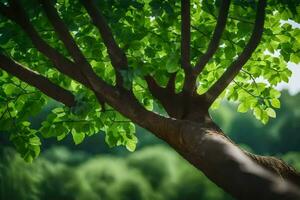 une arbre branche est montré dans de face de une vert Contexte. généré par ai photo