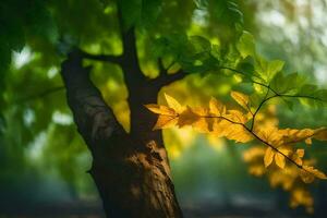 photo fond d'écran feuilles, le soleil, le des arbres, le feuilles, le des arbres, le feuilles,. généré par ai