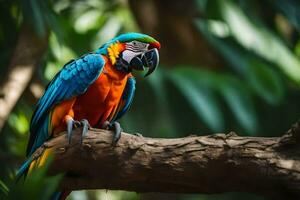 une coloré perroquet est assis sur une branche dans le forêt. généré par ai photo
