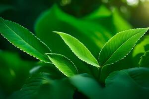 une proche en haut de vert feuilles sur une plante. généré par ai photo