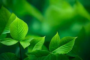 vert feuilles sur une vert Contexte. généré par ai photo