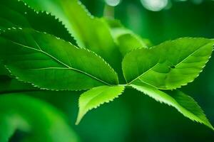 une proche en haut de une feuille avec vert feuilles. généré par ai photo