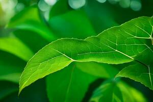 une proche en haut de une vert feuille. généré par ai photo