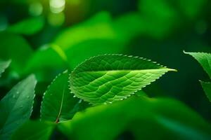 vert feuilles sur une ensoleillé journée. généré par ai photo