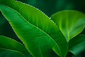 une proche en haut de une vert feuille. généré par ai photo