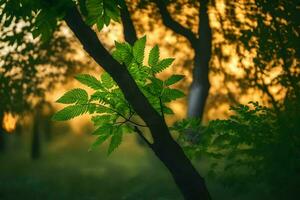 une arbre avec vert feuilles dans le Contexte. généré par ai photo