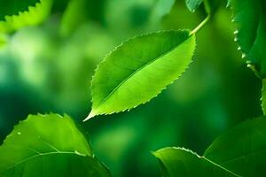 vert feuilles sur une arbre. généré par ai photo