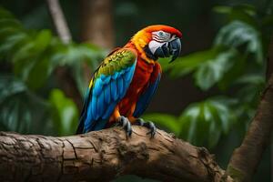 une coloré perroquet est assis sur une branche dans le forêt. généré par ai photo