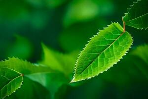 une proche en haut de vert feuilles sur une arbre. généré par ai photo