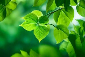 vert feuilles sur une arbre. généré par ai photo