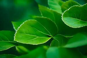 vert feuilles, nature, la nature fond d'écran, fond d'écran, nature, la nature fond d'écran, la nature fond d'écran, la nature. généré par ai photo