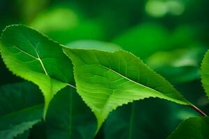 vert feuilles sur une arbre. généré par ai photo