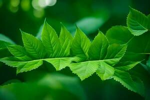 une proche en haut de vert feuilles sur une arbre. généré par ai photo