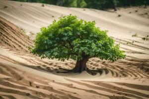 une seul arbre dans le désert. généré par ai photo