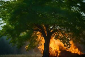 une arbre est brûlant dans le milieu de une champ. généré par ai photo