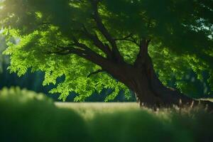 une arbre dans le milieu de une champ avec lumière du soleil brillant par il. généré par ai photo