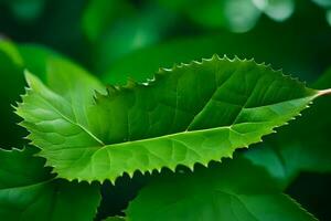 une proche en haut de une feuille avec vert feuilles. généré par ai photo