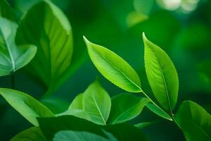 vert feuilles sur une arbre. généré par ai photo