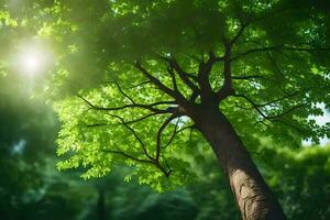 une arbre est vu dans le lumière du soleil avec vert feuilles. généré par ai photo