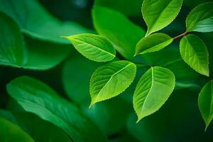 vert feuilles sur une arbre. généré par ai photo