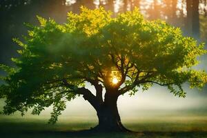 une arbre dans le milieu de une champ avec le Soleil brillant par il. généré par ai photo