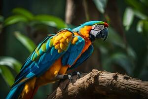 une coloré perroquet est assis sur une branche dans le forêt. généré par ai photo