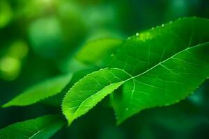 vert feuilles sur une arbre avec lumière du soleil. généré par ai photo