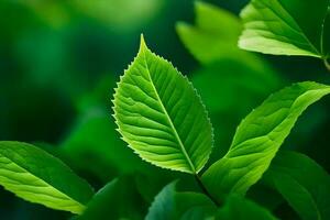 une proche en haut de vert feuilles sur une arbre. généré par ai photo