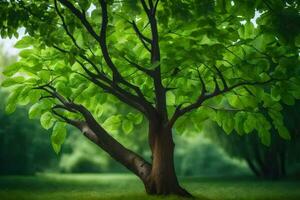 une arbre dans le milieu de une vert champ. généré par ai photo