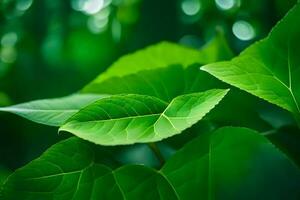 une proche en haut de vert feuilles dans le forêt. généré par ai photo