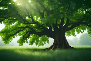 une grand arbre dans le milieu de une champ. généré par ai photo