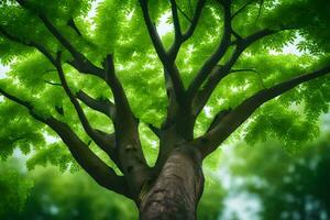 une arbre est montré dans le premier plan avec vert feuilles. généré par ai photo