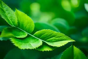 une proche en haut de une feuille sur une vert plante. généré par ai photo