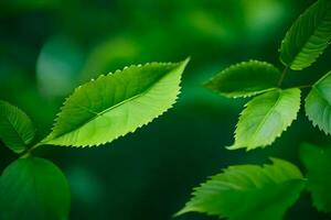 vert feuilles sur une arbre. généré par ai photo