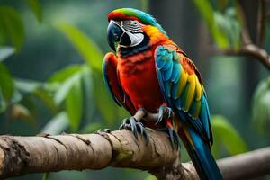 une coloré perroquet est assis sur une branche. généré par ai photo