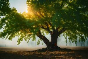 une arbre dans le brouillard avec le Soleil brillant à travers. généré par ai photo