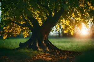 photo fond d'écran arbre, le soleil, l'automne, arbre, l'automne, arbre, arbre, arbre,. généré par ai