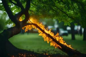 une arbre avec Feu à venir en dehors de il. généré par ai photo