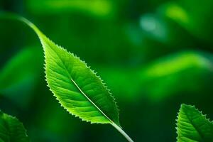 une proche en haut de une feuille dans le herbe. généré par ai photo